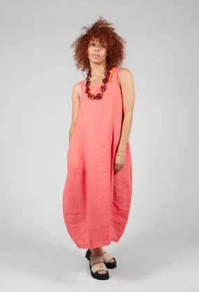 Nectarine Anguille Dress