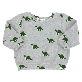 Cotton Terry Dinosaur Print Sweatshirt in Heather Gray