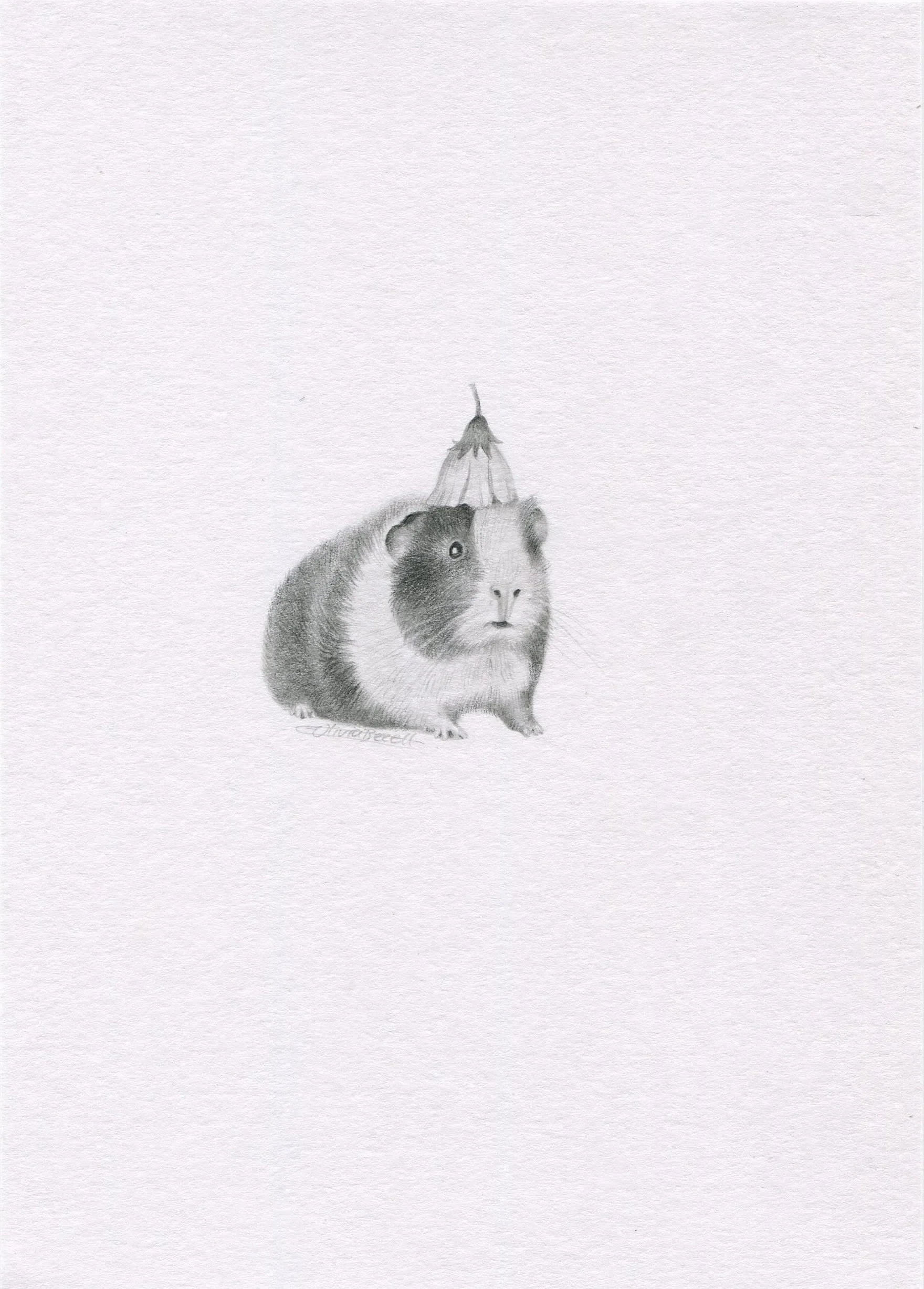 Mini one-off original Guinea Pig with Flower Hat