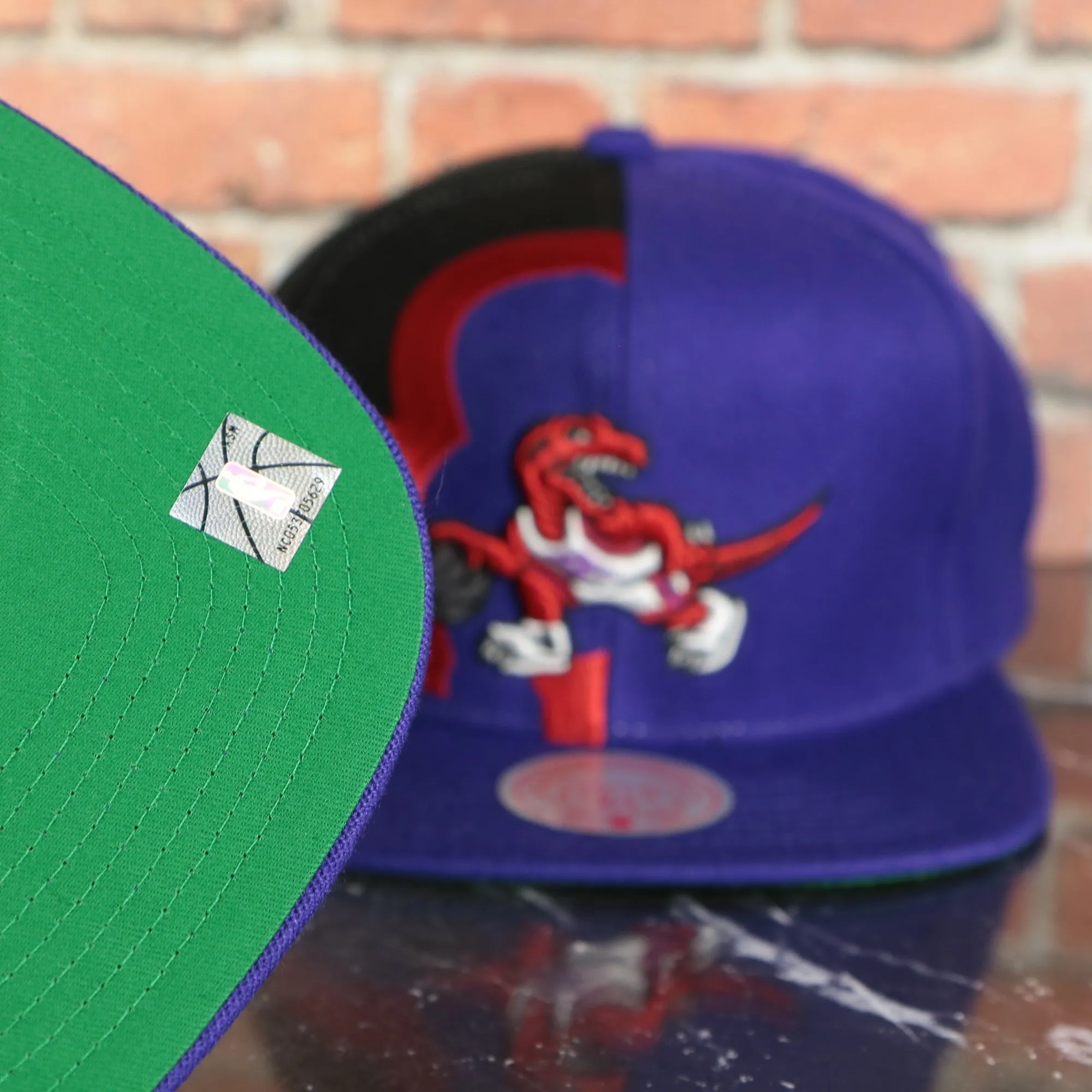 Mitchell and Ness Toronto Raptors Retroline Logo Snapback Hat