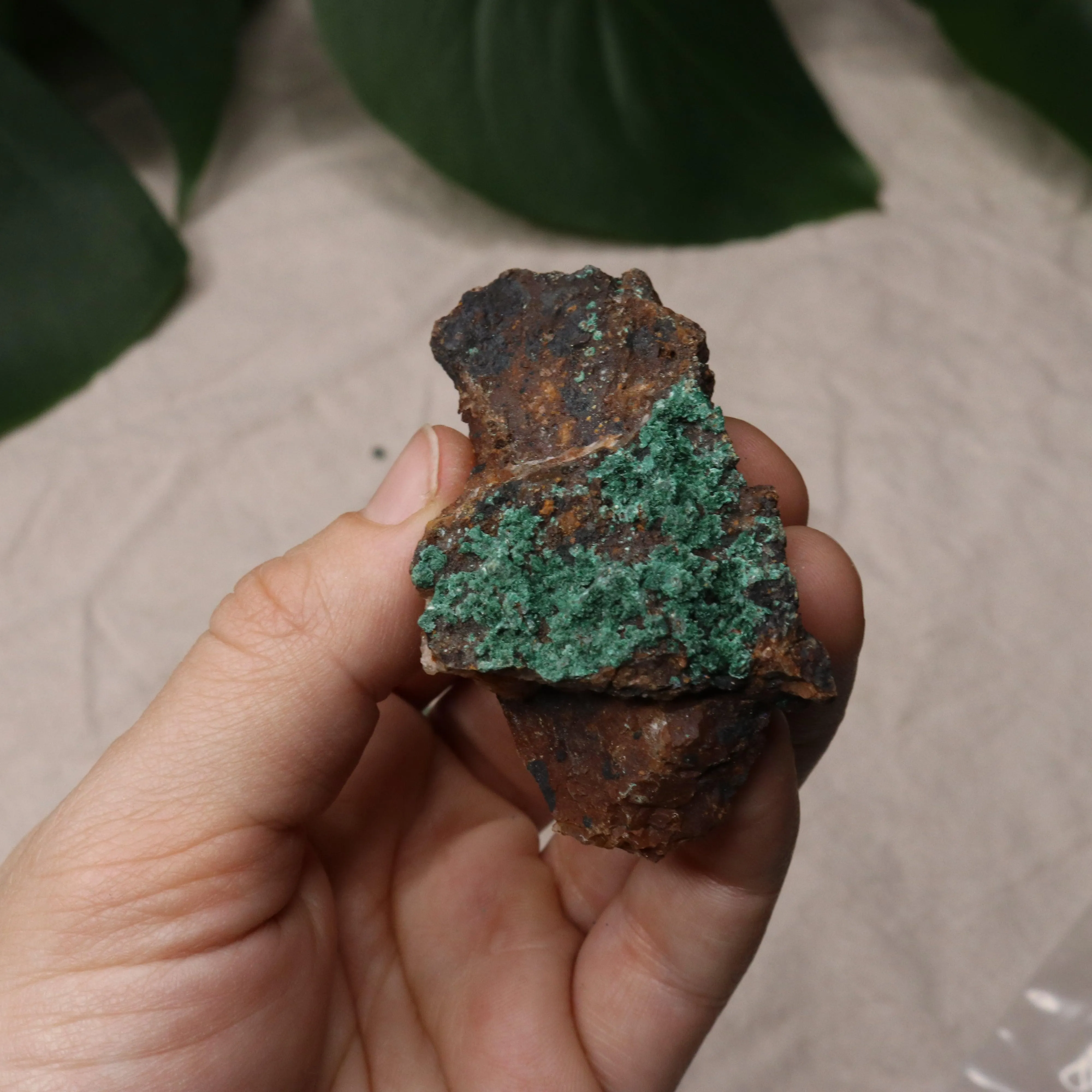 Rough Dioptase Specimen Set of 8 from Morocco