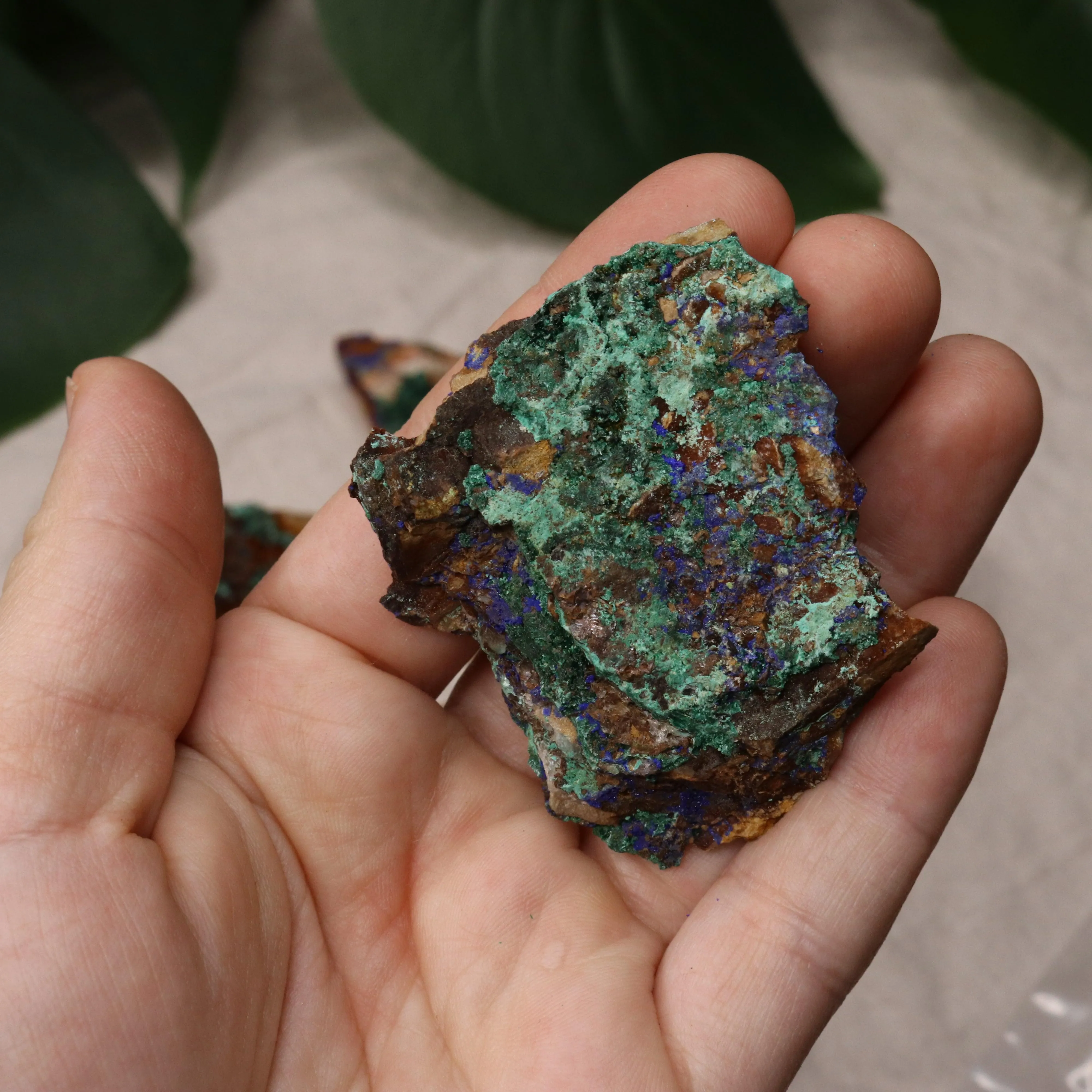 Rough Dioptase Specimen Set of 8 from Morocco